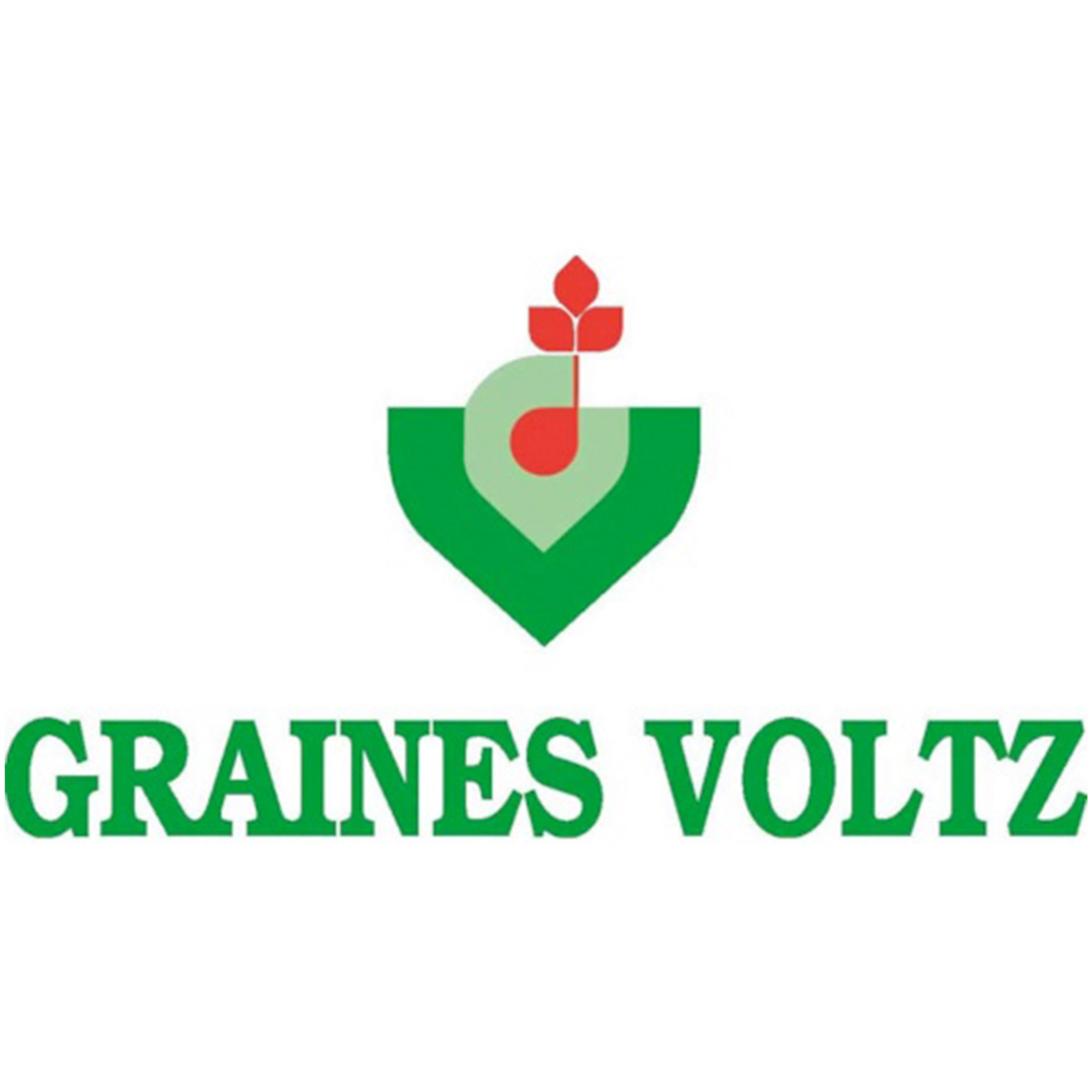 Graines voltz