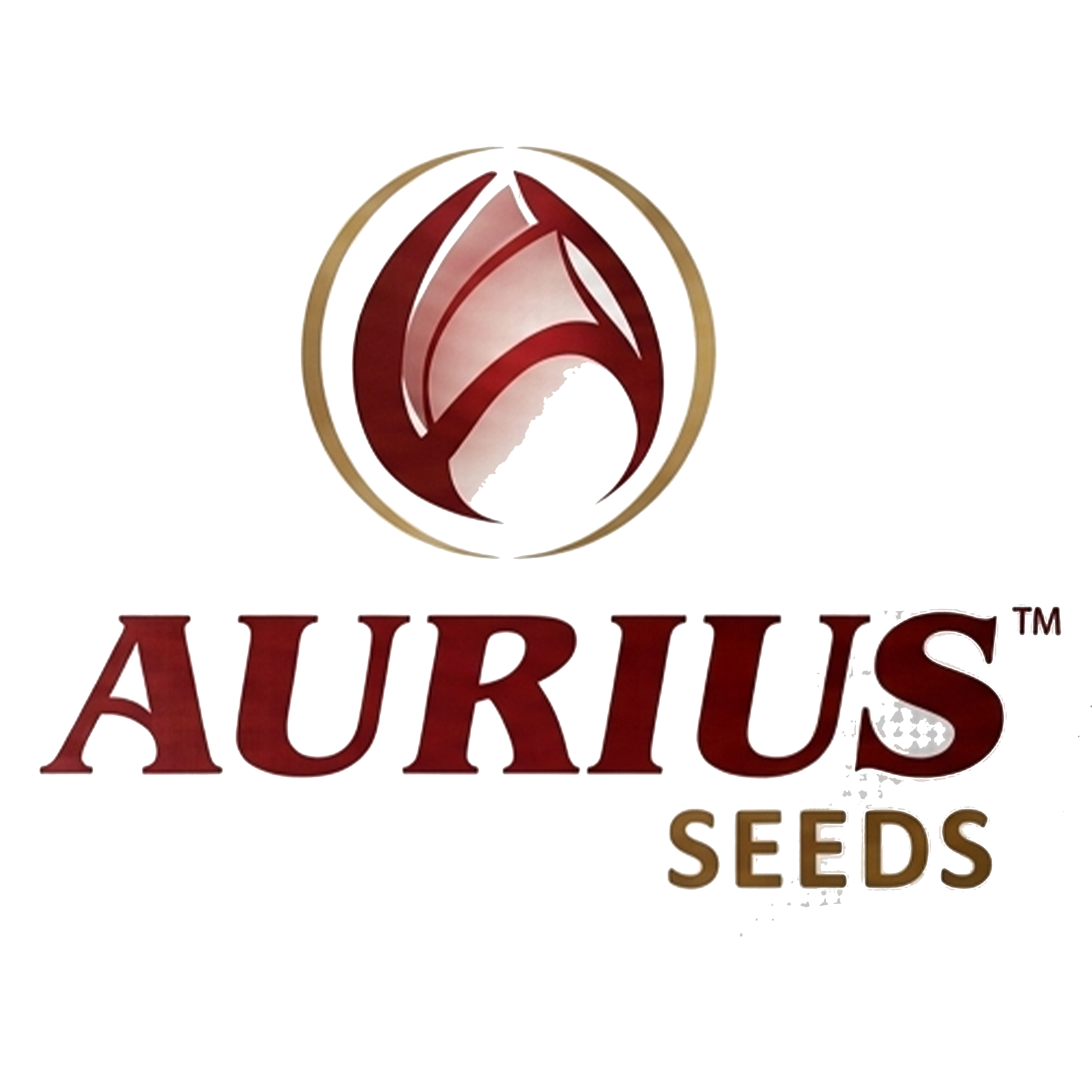 Aurius Seed